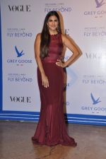 Perizaad Kolah at Grey Goose India Fly Beyond Awards in Grand Hyatt, Mumbai on 16th Nov 2014